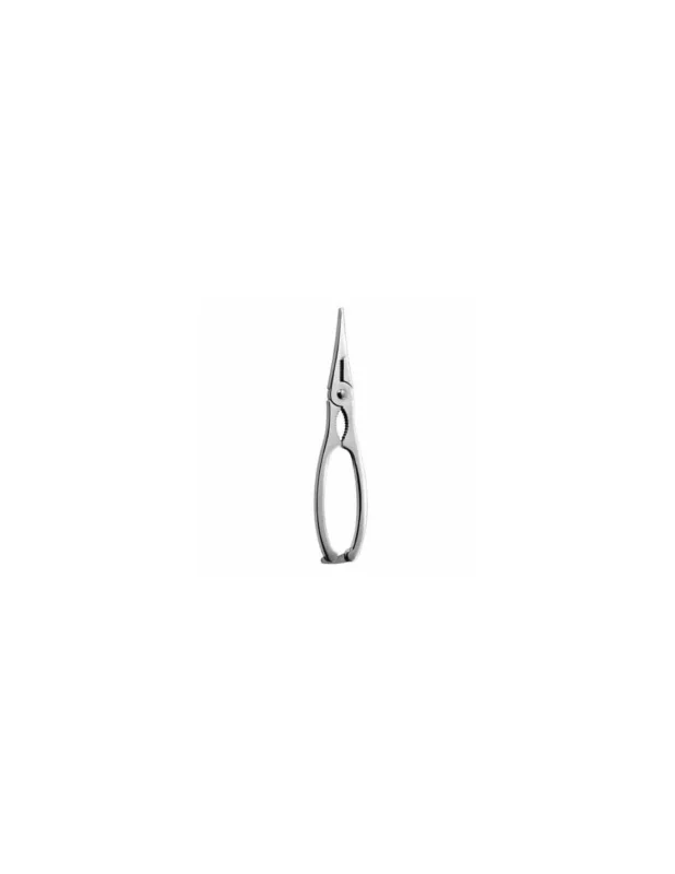Pince casse-homard 19 cm Prix Bas