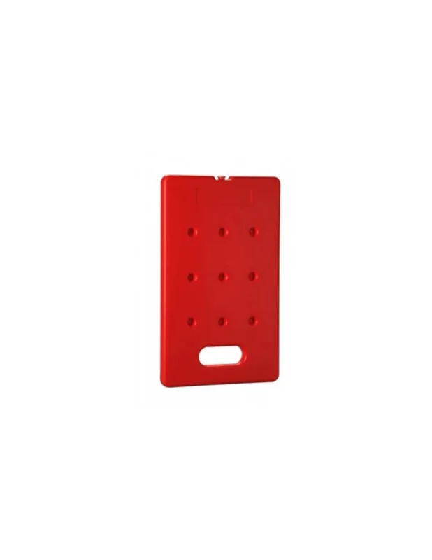 Offre Exclusive Plaque eutectique GN1/2 - Chaude