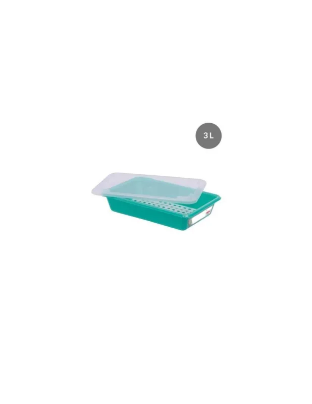 Pas Cher Bac plat + couvercle + grille 3L - Vert 350x240x80mm