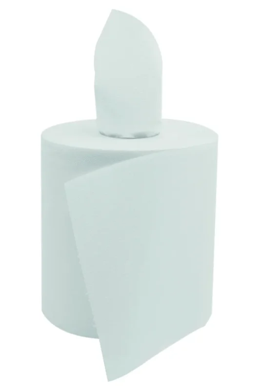 Carton de 6 rouleaux d'essuie-mains blanc Ø 19 cm 57x38x17 cm Renovelar Populaire