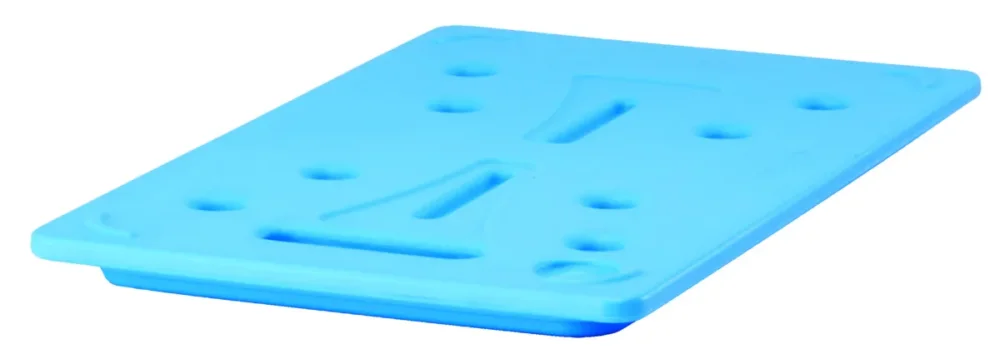 Must-Have Plaque eutectique GN 1/1 plastique 53x32,5x3 cm Cambro