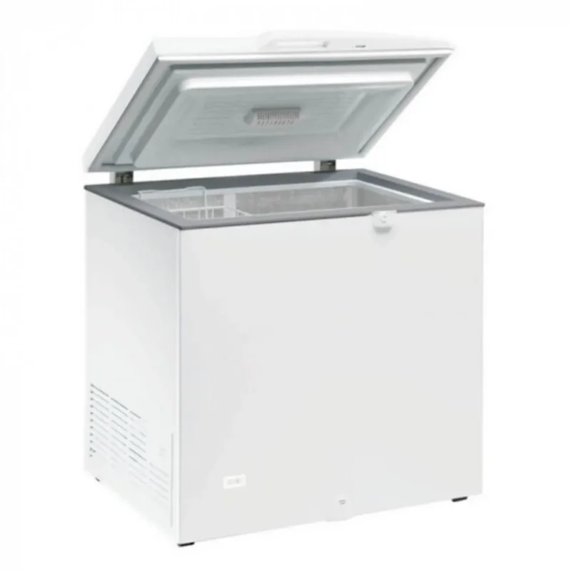 Offre Limitée Congélateur coffre bahut 300 L 1 formats Tensai Proinox