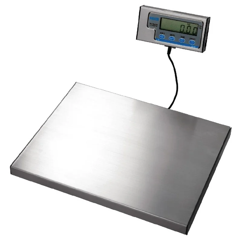 Balance Salter 60kg Salter Dernière Chance