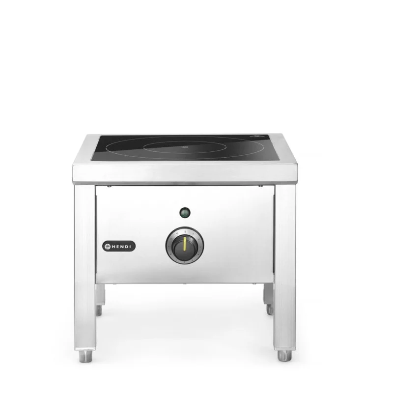 Réchaud à Induction Professionnel en Inox Bon Marché
