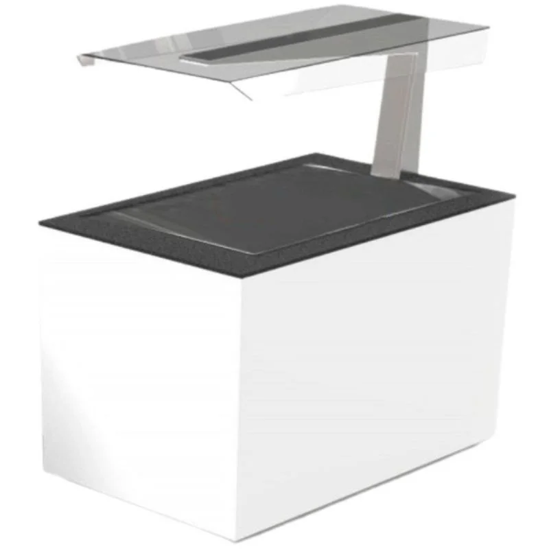 Buffet Chaud Droite - BUFFET Libre Service - Plaque Chauffante Offre Exclusive