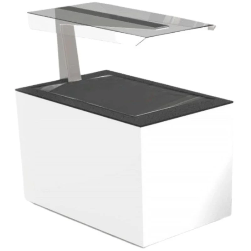 Promotion Buffet Chaud Gauche - BUFFET Libre Service - Plaque Chauffante