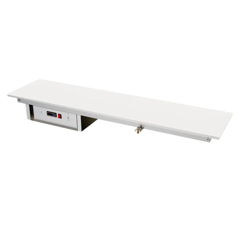 Plaque Chauffante Drop-In en Verre Trempé pour Assiettes - Blanc - 6 Assiettes – L 1668 x P 330 mm Top Vente