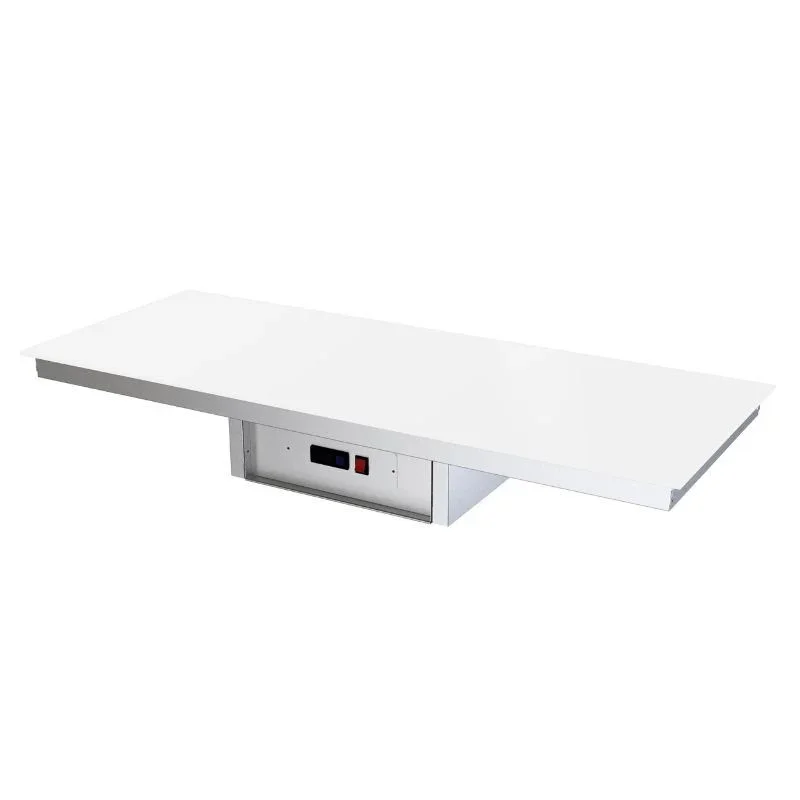 Plaque Chauffante Drop-In en Verre Trempé sans Cadre - Blanc – L 1944 x P 504 mm Must-Have