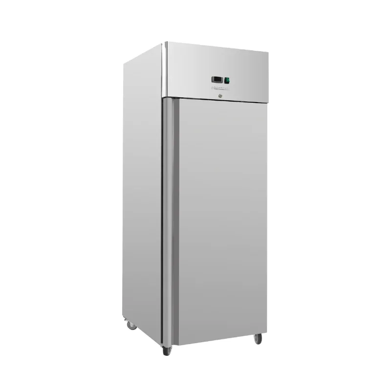 Armoire Réfrigérée Inox Négative GN 2/1 - 650 L Must-Have