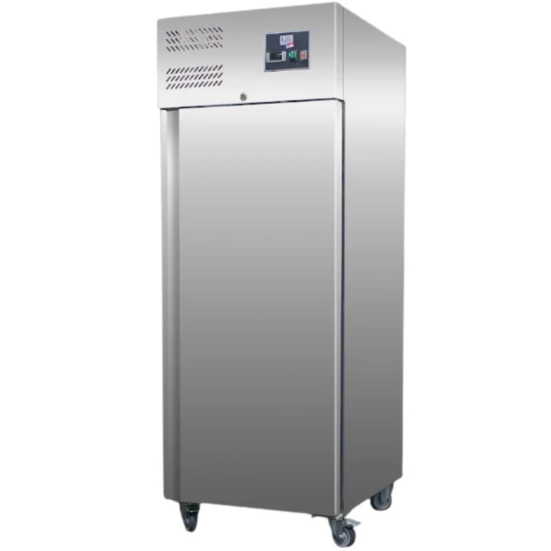 Armoire Réfrigérée Négative en Inox - 1 Porte Pleine - 650 L Expédié Aujourd’hui