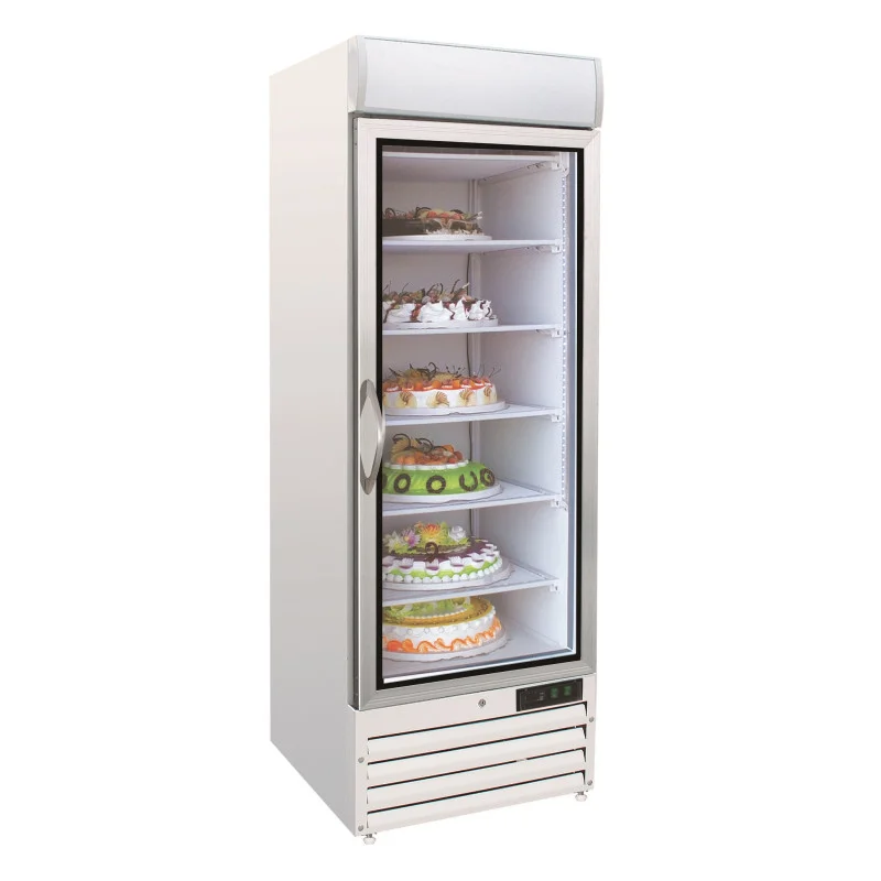 Armoire Réfrigérée Négative - 1 Porte Vitrée - 578 L Meilleur Prix