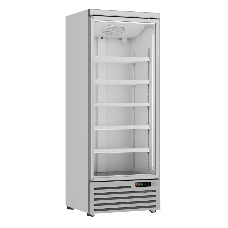 Prix Réduit Armoire Réfrigérée Positive - 1 Porte Vitrée - 600 L