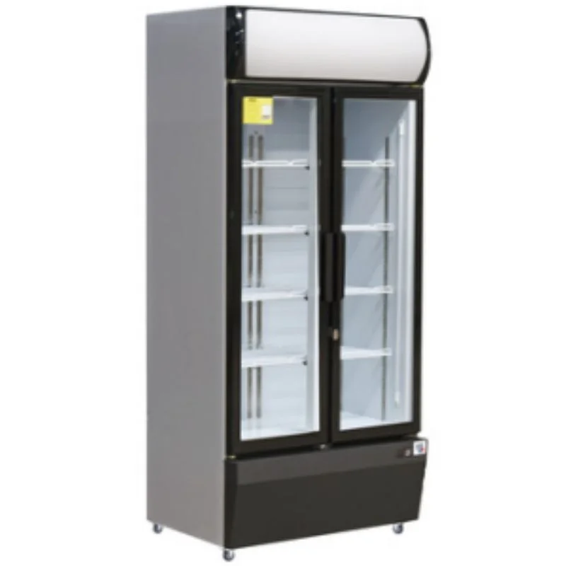 Vente Directe Vitrine à Boissons Réfrigérée à 2 Portes - 580 L
