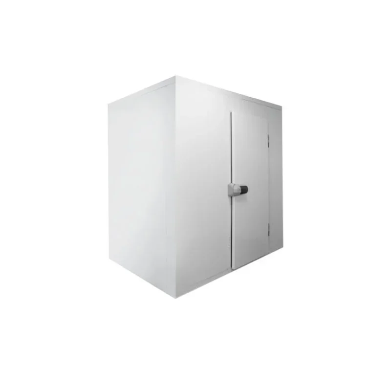 Panneau pour Chambre Froide - 1200 x 2400 x 2200 mm Meilleur Prix