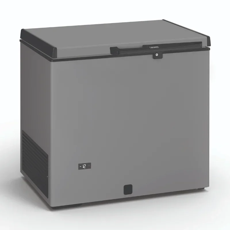 Prix Promo Congélateur Coffre Professionnel Aspect Inox - 220 L