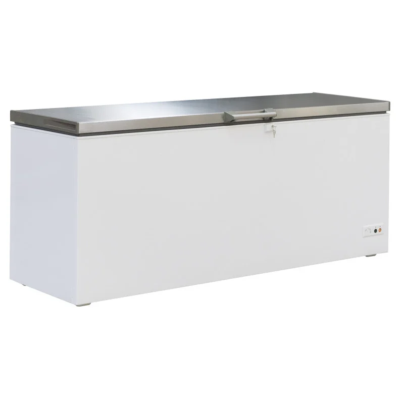 Acheter En Ligne Congélateur Coffre avec Couvercle Inox - 635 L