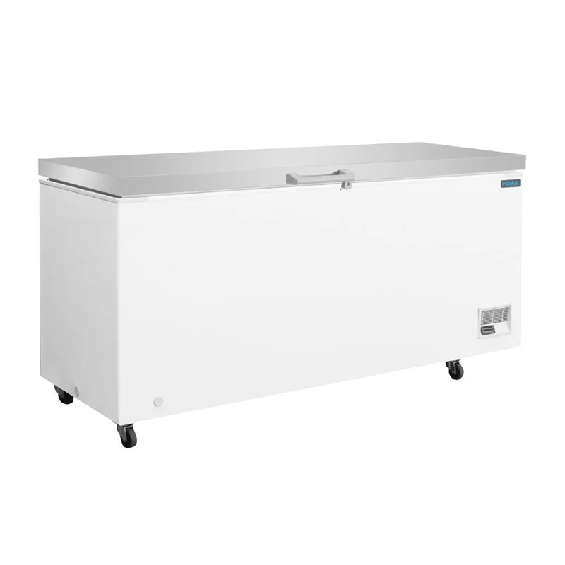 Congélateur Coffre avec Couvercle Inox - 581 L Usine Directe