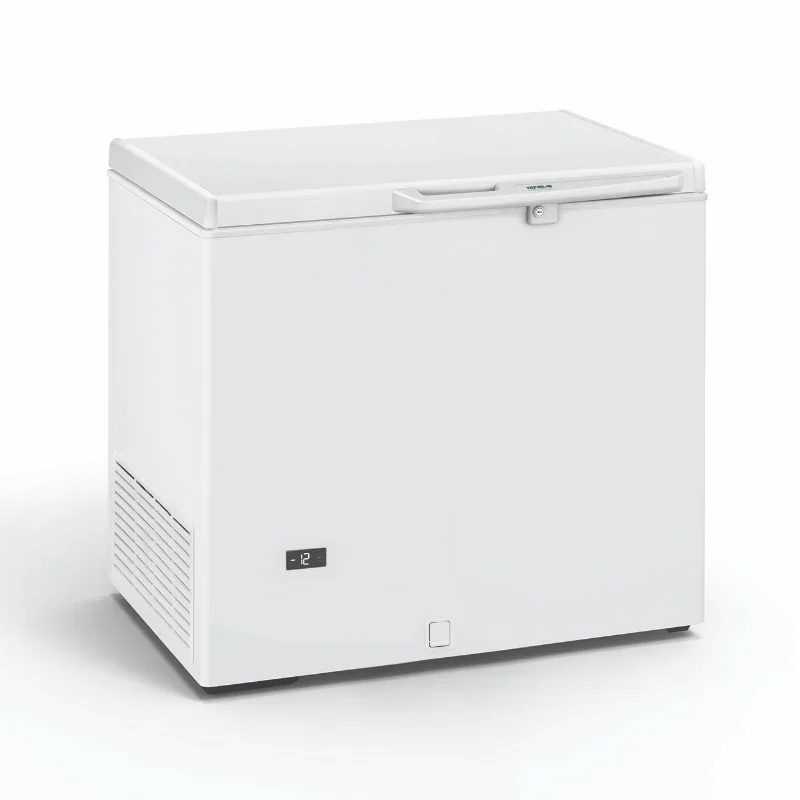Promotion Saisonnière Congélateur Coffre Professionnel - 220 L