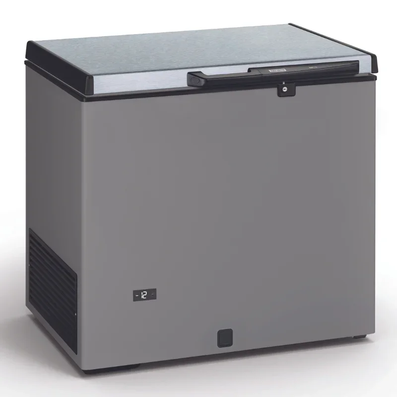 Haute Qualité Congélateur Coffre Aspect Inox et Couvercle Inox - 220 L