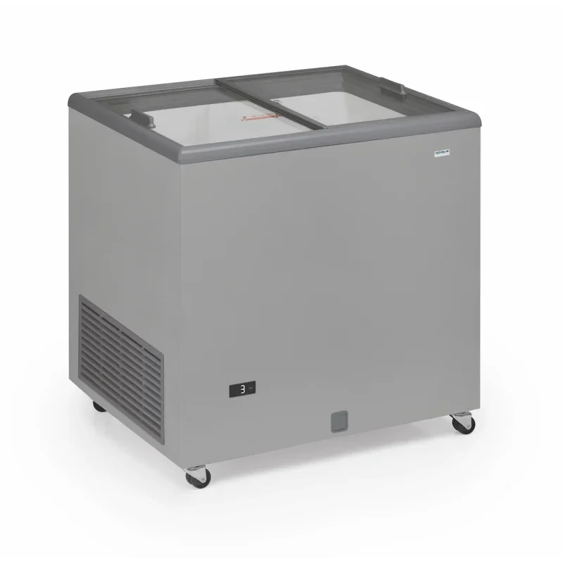 Pas Cher Congélateur Portes Coulissantes Vitrées - 220 L