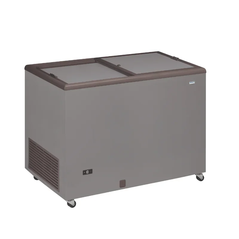 Bon Marché Congélateur Coffre Professionnel Aspect Inox et Couvercle Opaque - 400 L