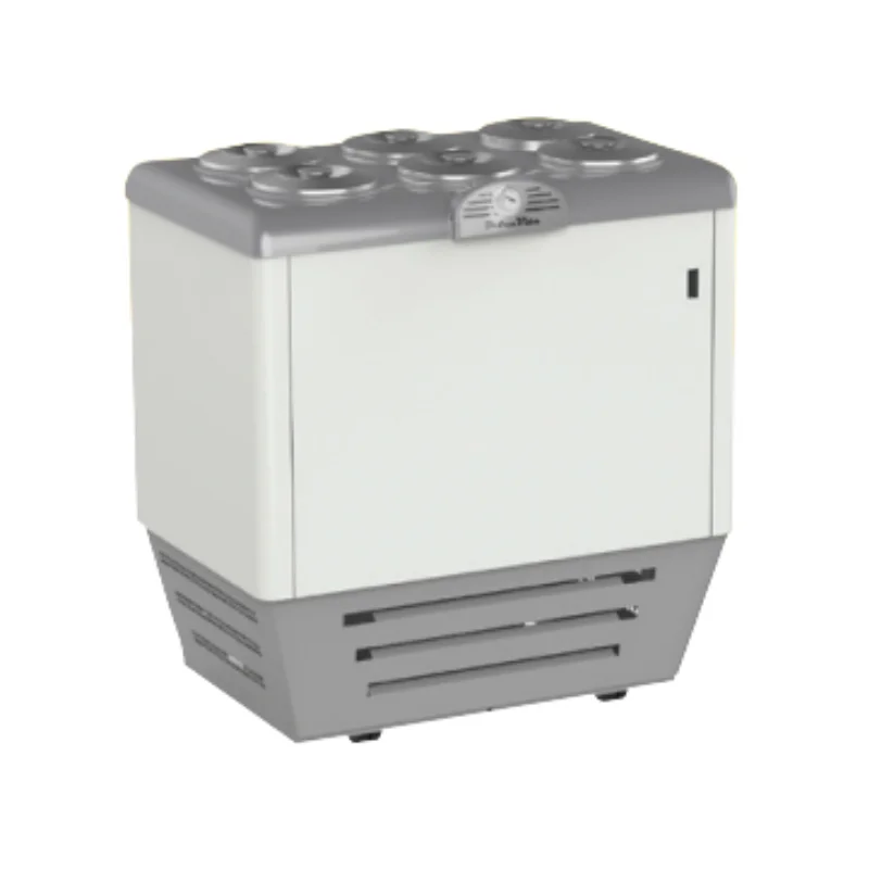 Conservateur à Glaces Dolce Vita - 6 x 7,5 L Nouvelle Collection