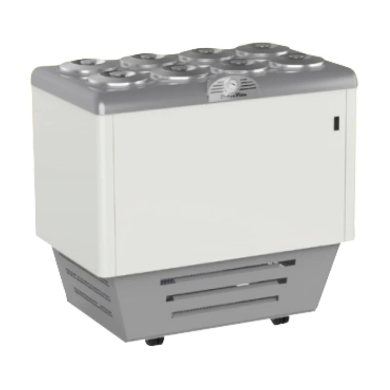 Seulement Aujourd’hui Conservateur à Glaces Dolce Vita - 8 x 7,5 L