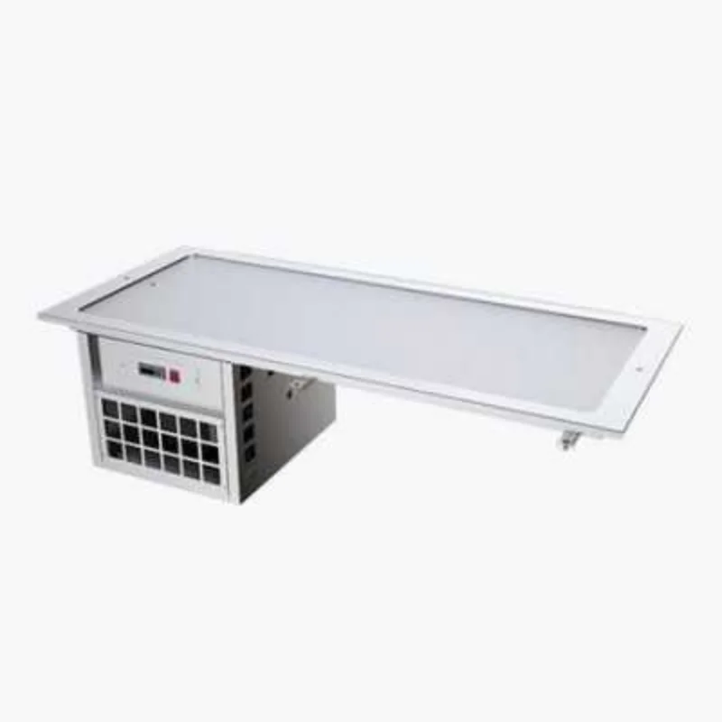 Plaque Réfrigérée avec Groupe Intégré 3 GN - L 1100 x P 610 mm Remise