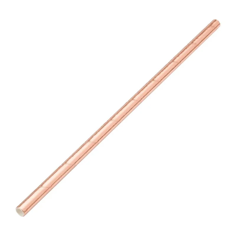 Haute Qualité Pailles en Papier Biodégradables Cuivrées - Lot de 250