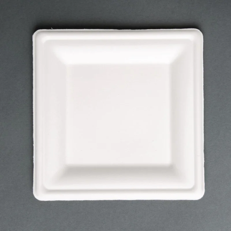 Bon Marché Assiettes Carrées Compostables en Bagasse 261 mm - Lot de 50