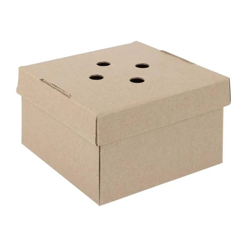 Offre Du Jour Boîtes Burger Carrées Pliantes - Lot de 100