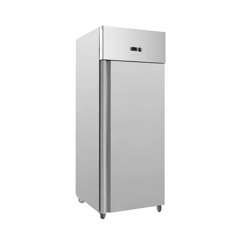 Armoire Réfrigérée Inox Négative GN 2/1 - 650 L - Reconditionnée Meilleur Choix