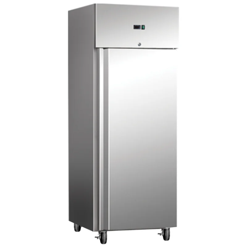 Armoire Réfrigérée Inox Négative GN 2/1 - 650 L - Reconditionnée Bon Plan