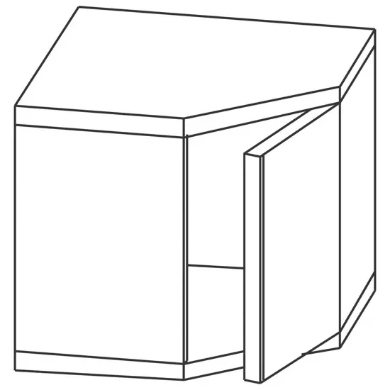 Armoire murale d’angle inox 1 porte battante - 700 x 700 x 660 mm Seulement Aujourd’hui