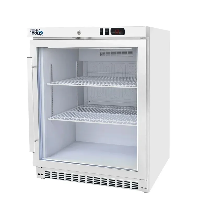 Achetez Aujourd’hui Armoire réfrigérée professionnelle positive 1 porte vitrée 200 litres gaz r600a