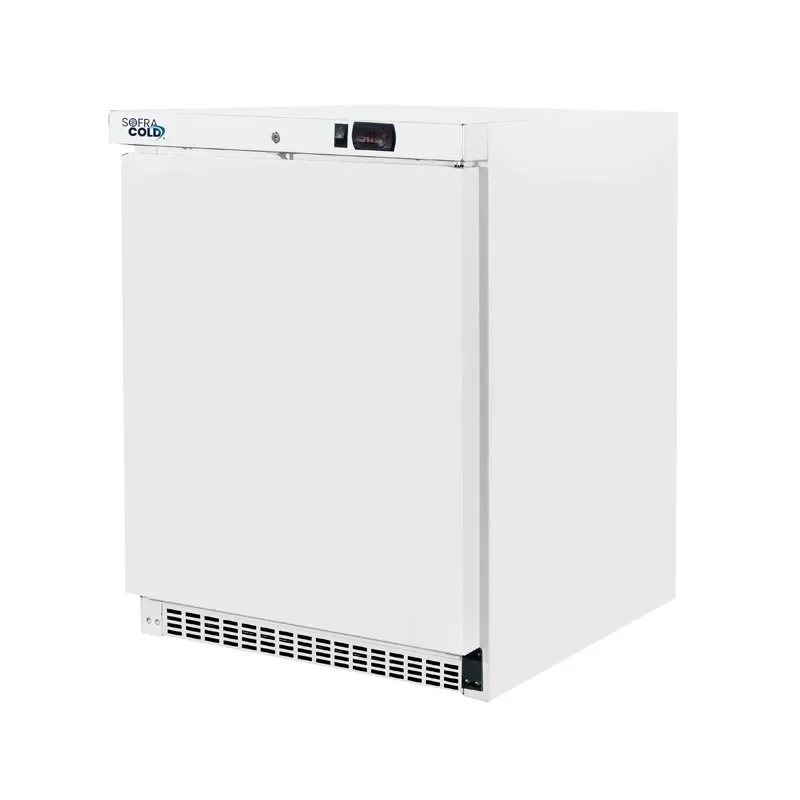 Quantité Limitée Armoire réfrigérée professionnelle positive 1 porte pleine 200 litres gaz r600a
