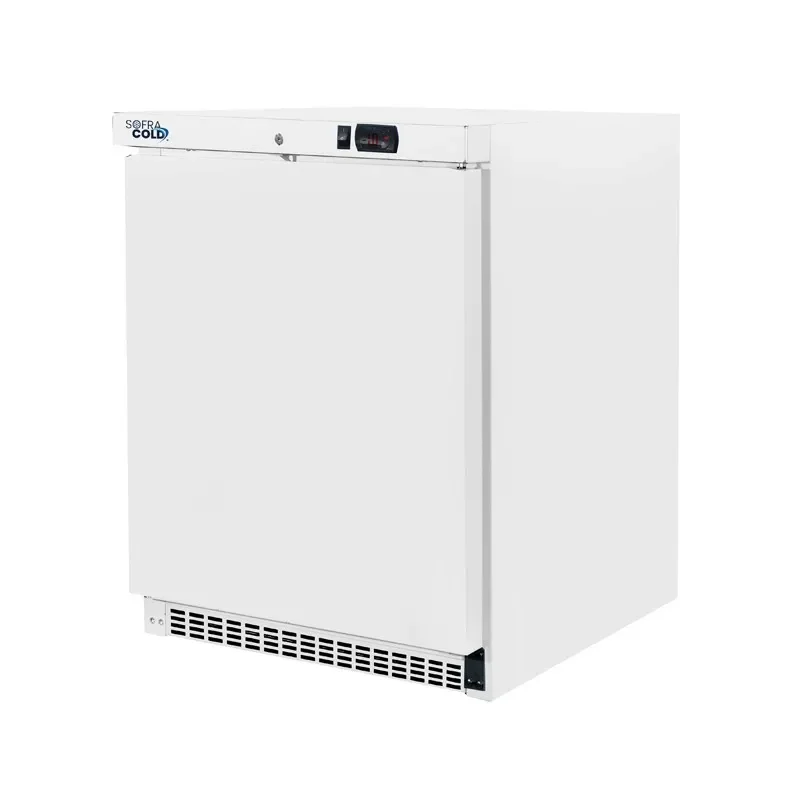 Top Vente Armoire réfrigérée négative 1 porte pleine 200 litres gaz r290