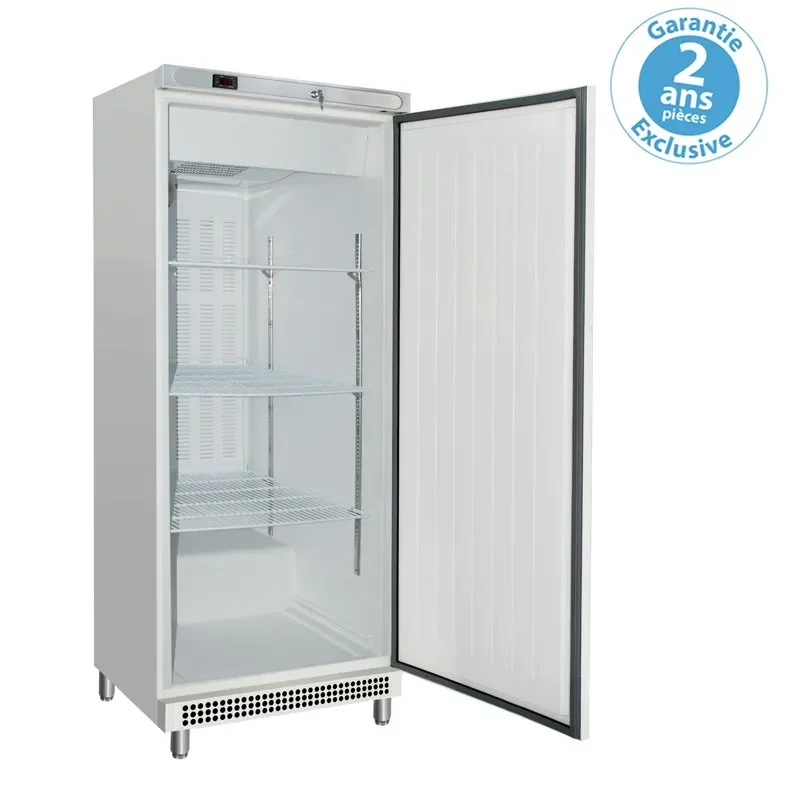Achat Immédiat Armoire ventilée extérieur laqué blanc positive gn 2/1 700 l