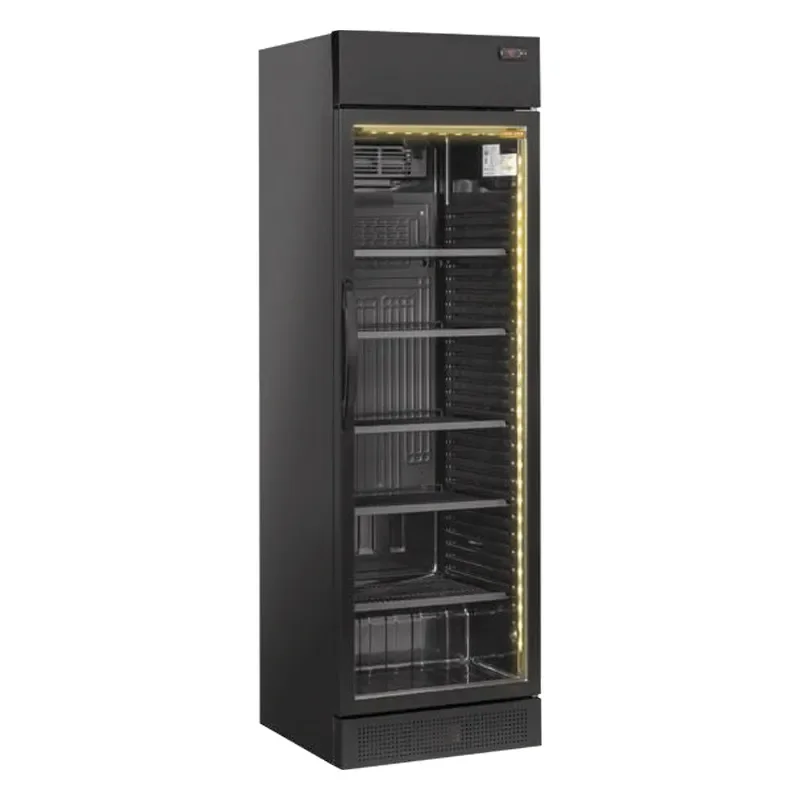 Armoire à boissons ventilée positive 372 l 1 porte vitrée battante Dernier Modèle