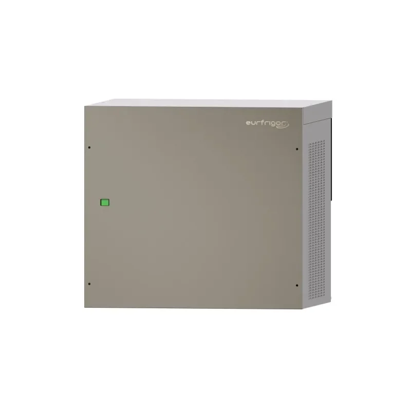 Machine à glace paillettes avec split système sans réserve système à vis sans fin prod / h 1000 kg Dernier Modèle