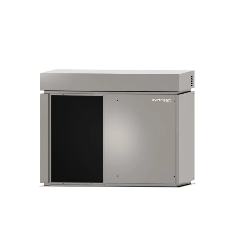 Expédié Aujourd’hui Machine à écailles plates avec condenseur à air sans réserve système à couteau rotatif prod / h 900 kg