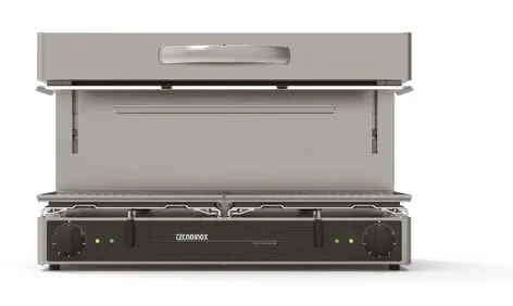 Salamandre électrique à plafond mobile surface utile 600 x 350 mm série se Vente Flash