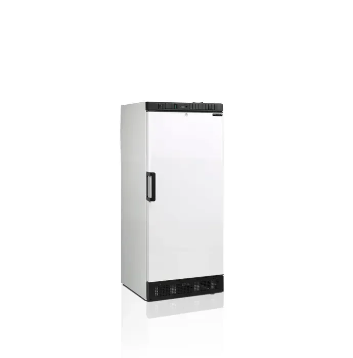 Réfrigérateur de stockage 215 litres armoire blanche avec porte pleine Dernier Modèle