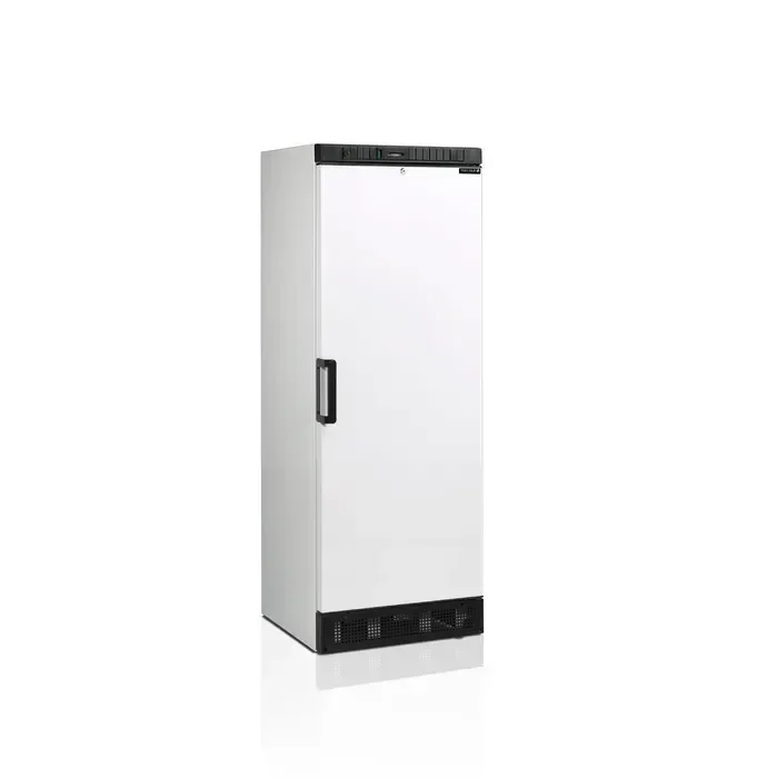 Solde Réfrigérateur stockage 290 litres armoire blanche avec porte pleine