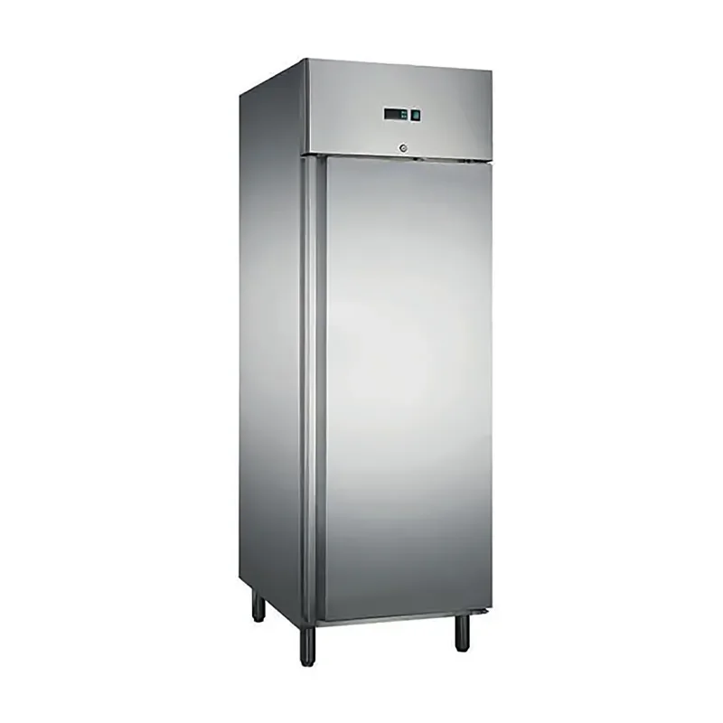 Retour Gratuit Armoire réfrigérée inox négative 1 porte classe b température -18/-22°c - 700 l