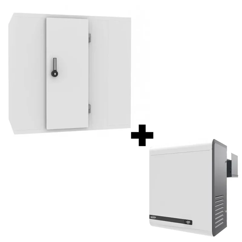 Achat Immédiat Chambre froide complète avec groupe négatif -25°c / -10°c et iso de 80 mm - 2700x3000x2200