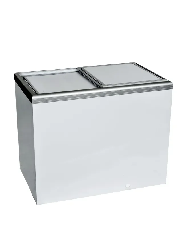 Réfrigérateur congélateur pour boissons avec capacité 249/206 l - Must-Have