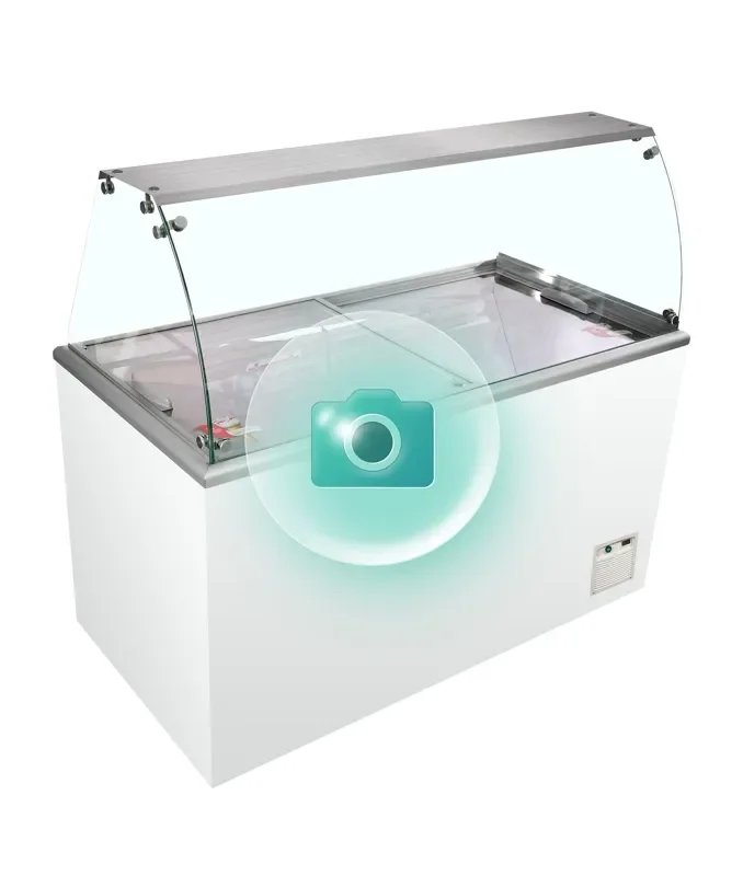 Vitrine à froid statique pour glace en bac - température -23 à -16°c Meilleure Vente