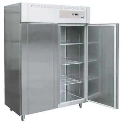 Expédié Aujourd’hui Frigo professionnel inox 2 portes positive ODIC