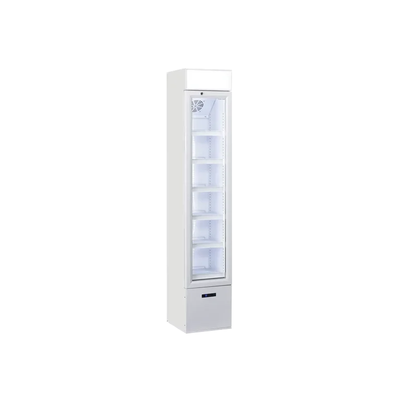 Expédition Rapide Armoire à boissons verticale 105 litres - 1 porte battante - +1°/+10°C